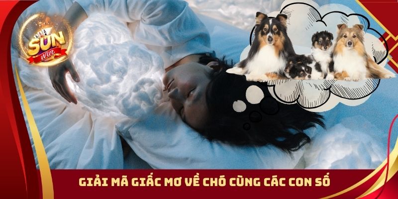 Giải mã giấc mơ về chó cùng các con số