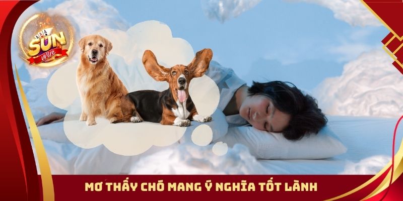 Mơ thấy chó mang ý nghĩa tốt lành