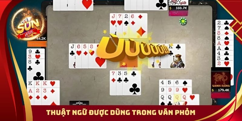 Thuật ngữ được dùng trong ván phỏm