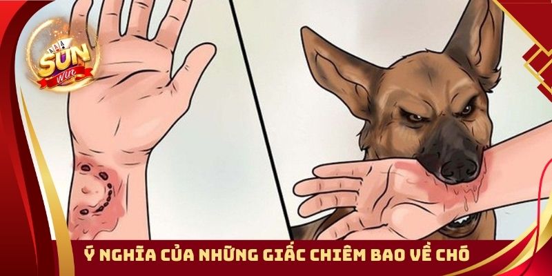 Ý nghĩa của những giấc chiêm bao về chó