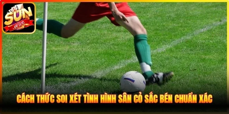 Cách thức soi xét tình hình sân cỏ sắc bén chuẩn xác