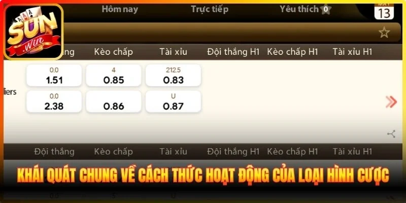 Khái quát chung về cách thức hoạt động của loại hình cược